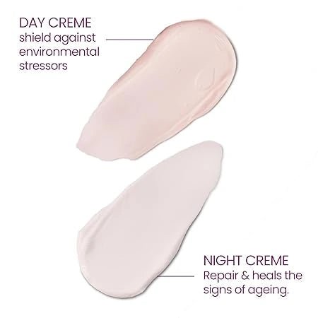 Lotus Herbals YouthRx Power Regimen Pack with Anti - Ageing Day Cream and Night Cream | Reduces Fine Lines, Wrinkles | Boosts Glow, Ginger and Ginseng | For Oily, Dry, Combination Skin | 100g - Deals999