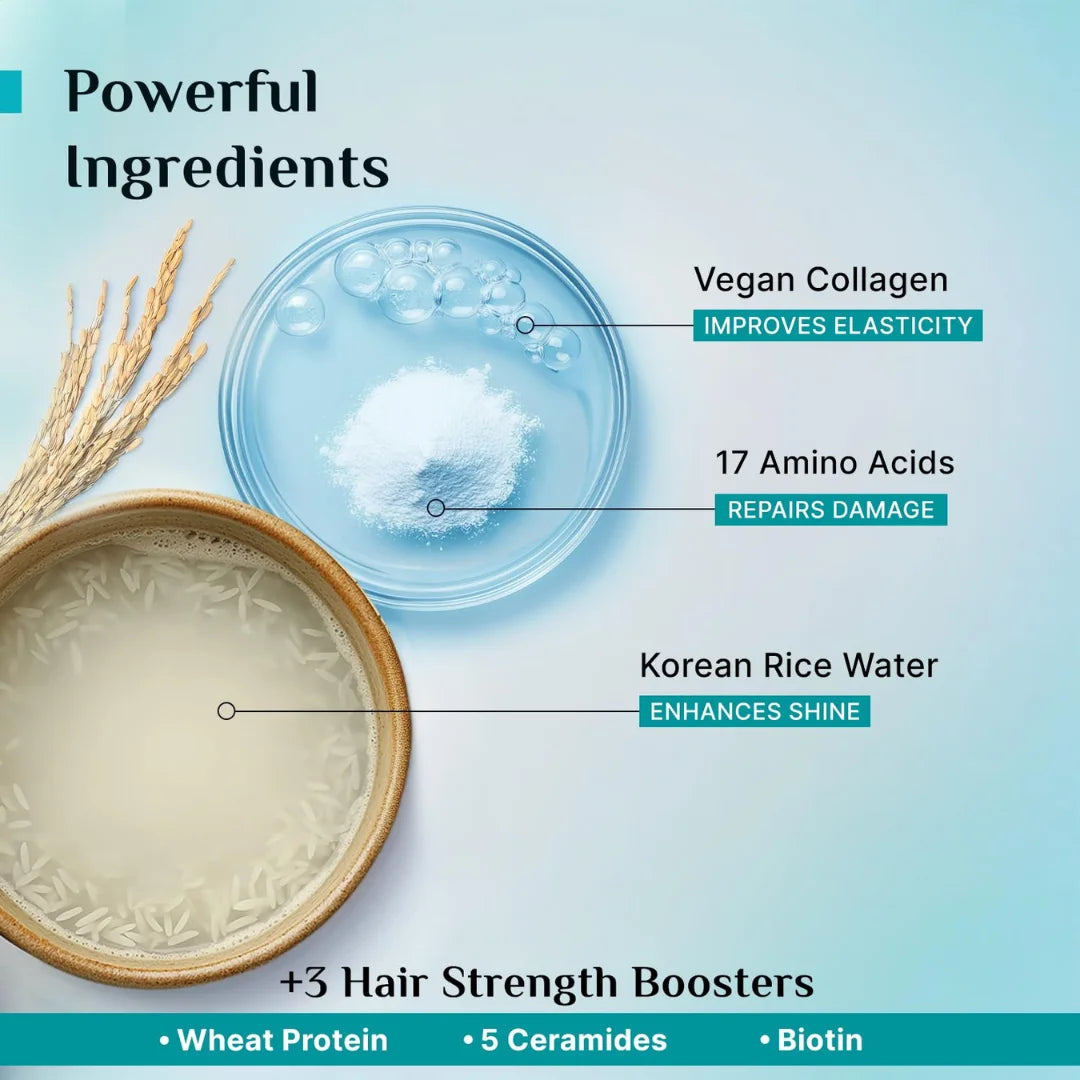 Pilgrim Korean Rice Water & Collagen Advanced Damage Repair Conditioner - 200ml