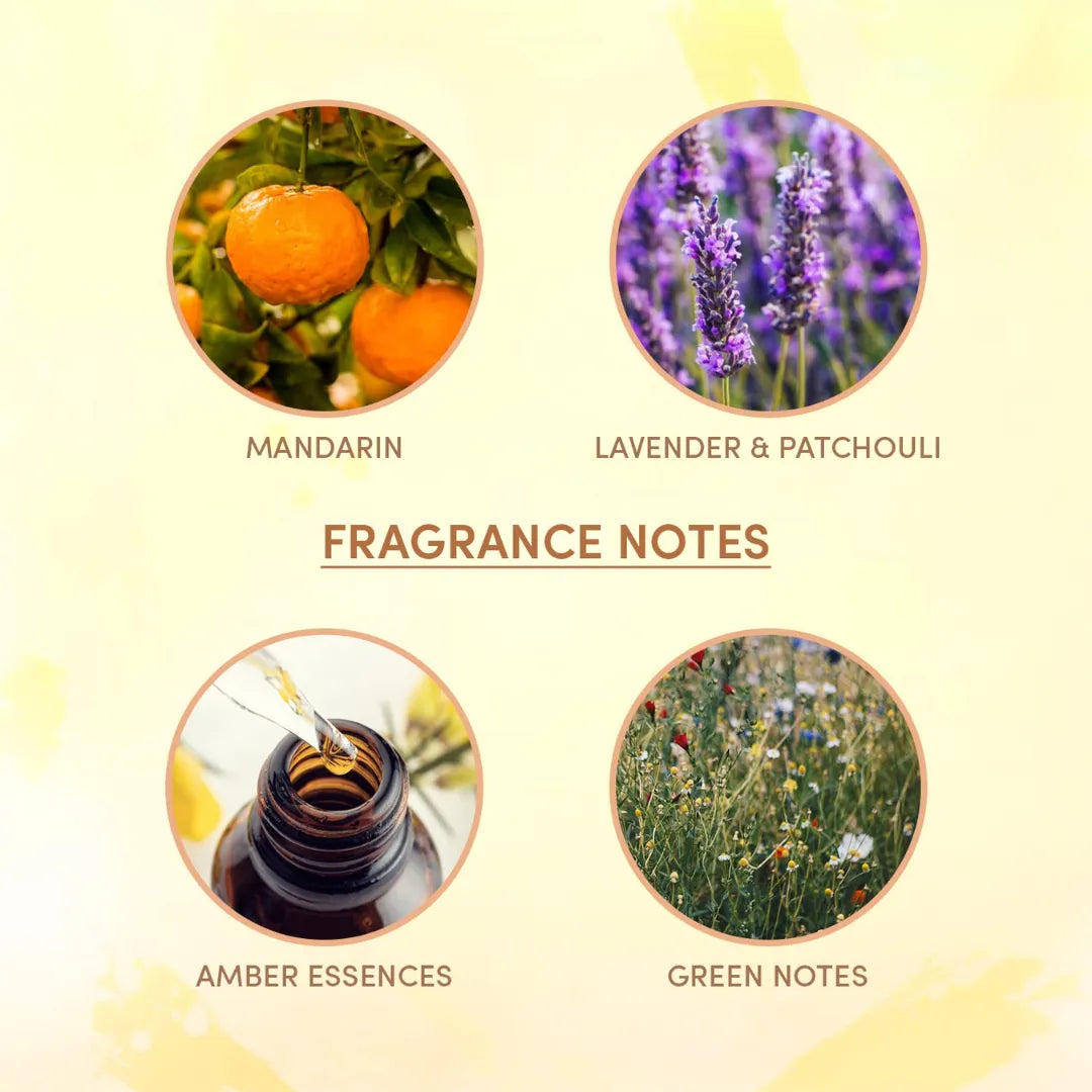 Layer'r Wottagirl Fresh Citrus Body Splash for Women - 135ml (Pack of 3)