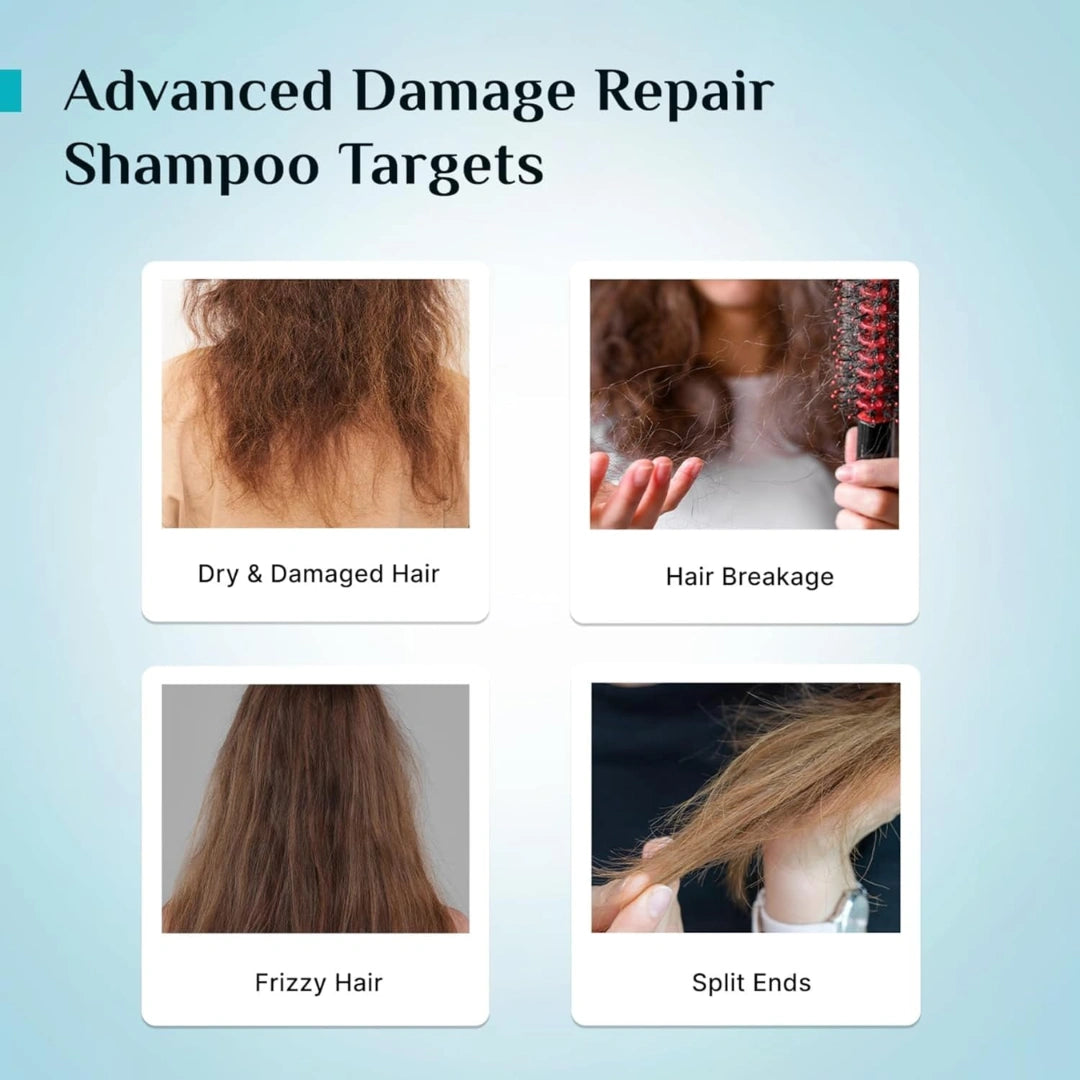 Pilgrim Korean Rice Water & Collagen Advanced Damage Repair Shampoo - 400ml
