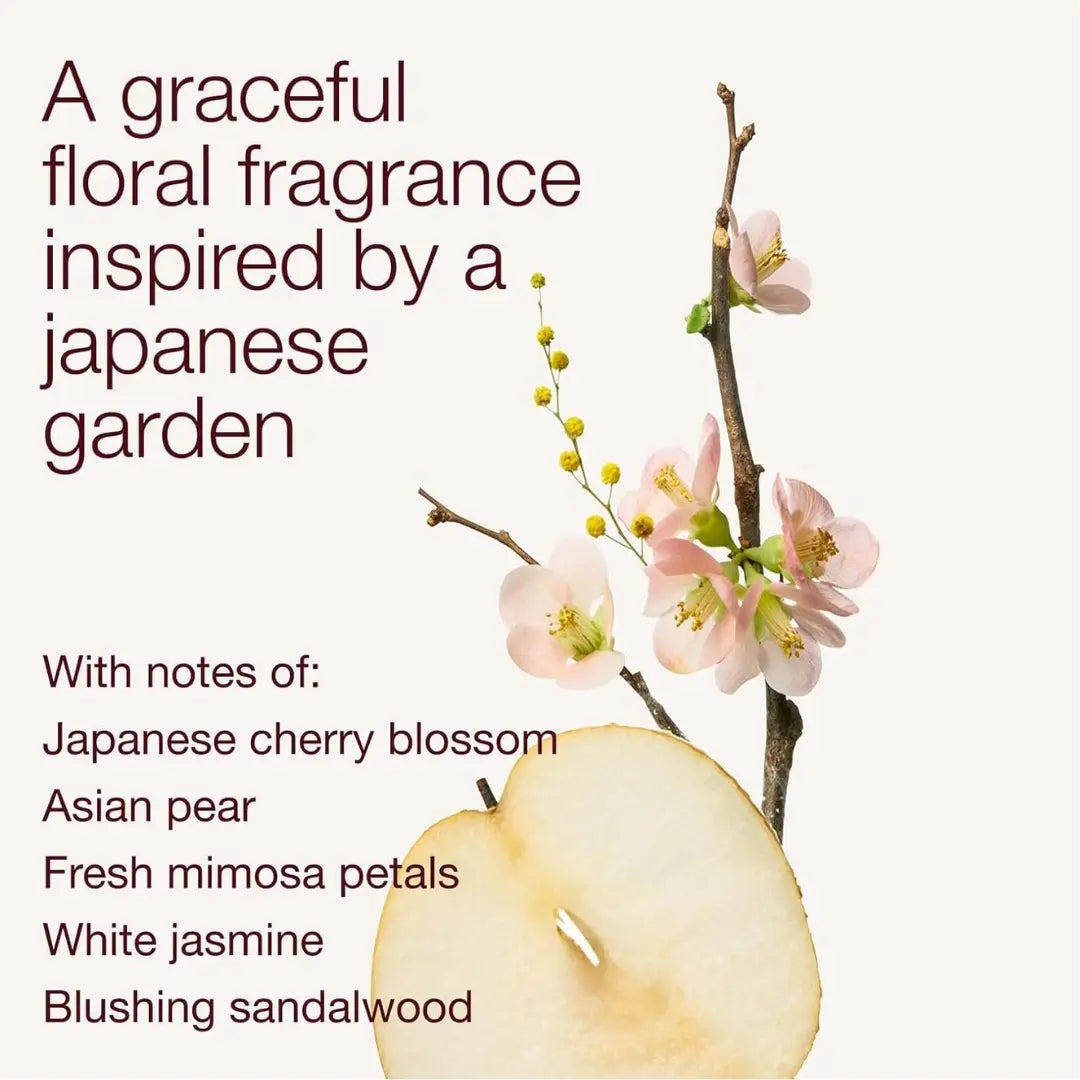 Bath & Body Works Japanese Cherry Blossom Body Lotion (Shea Butter + Coconut Oil) | 24Hr Moisture | 236 ml / 8 fl oz | Fragrance - Botanicals & Blooms | Gender - Women